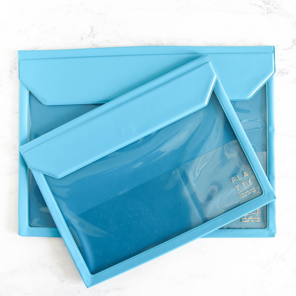Flatty Project Carrying Case - Bright Blue