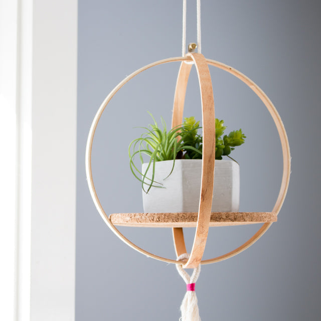 A small potted plant on a circular wooden hanging shelf made from embroidery hoops.