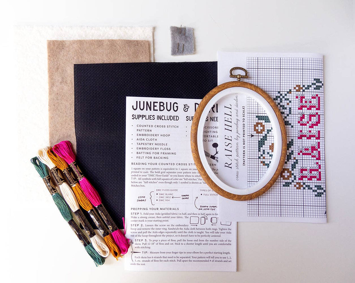 Raise Hell Cross Stitch Kit-Stitched Modern