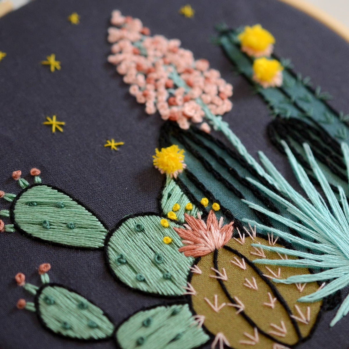Night Cactus Hand Embroidery Kit