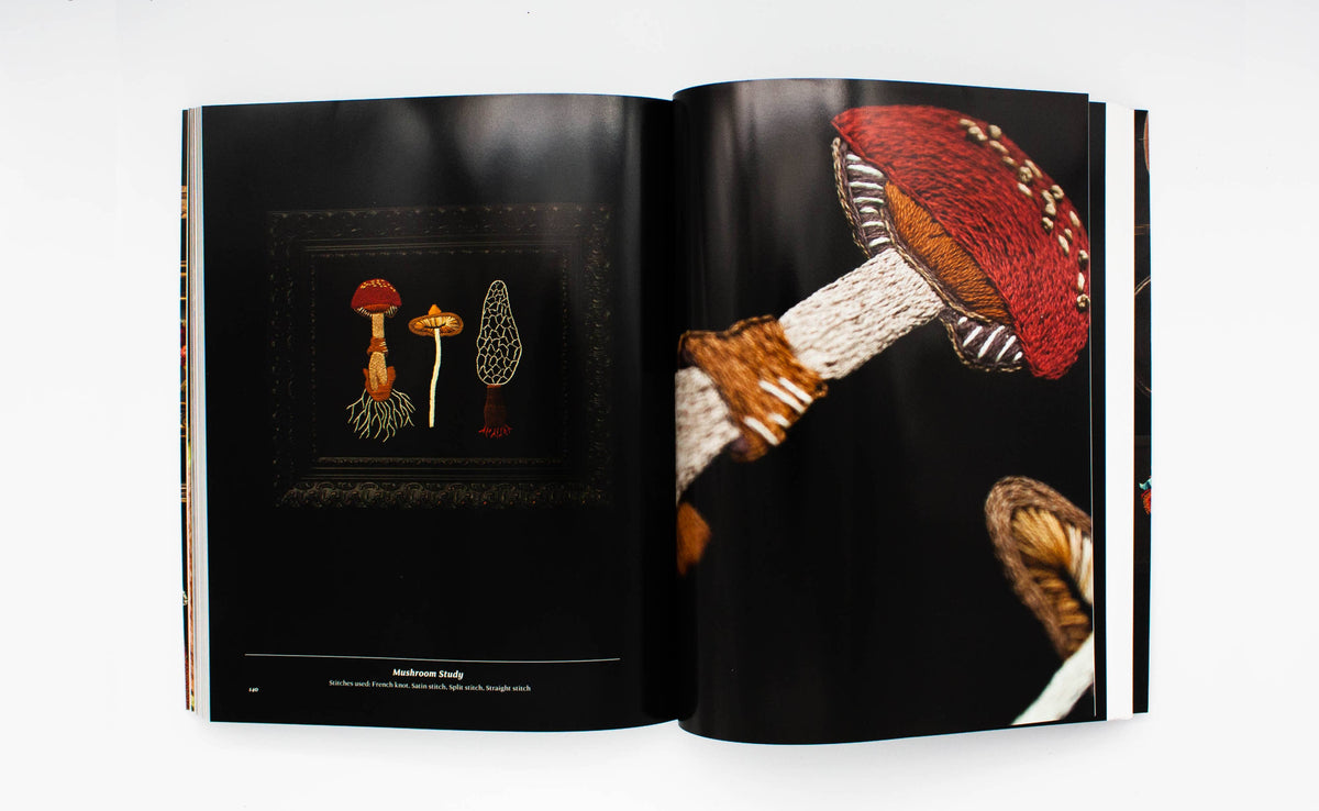 Stitchcraft: An Embroidery Book of Simple Stitch Patterns