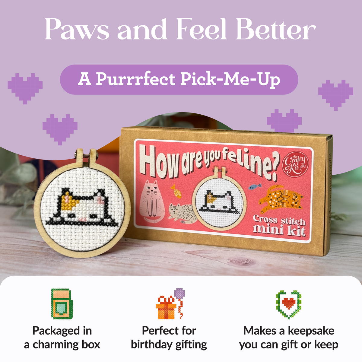 Mini Matchbox Cross Stitch Kit - How Are You Feline-Stitched Modern
