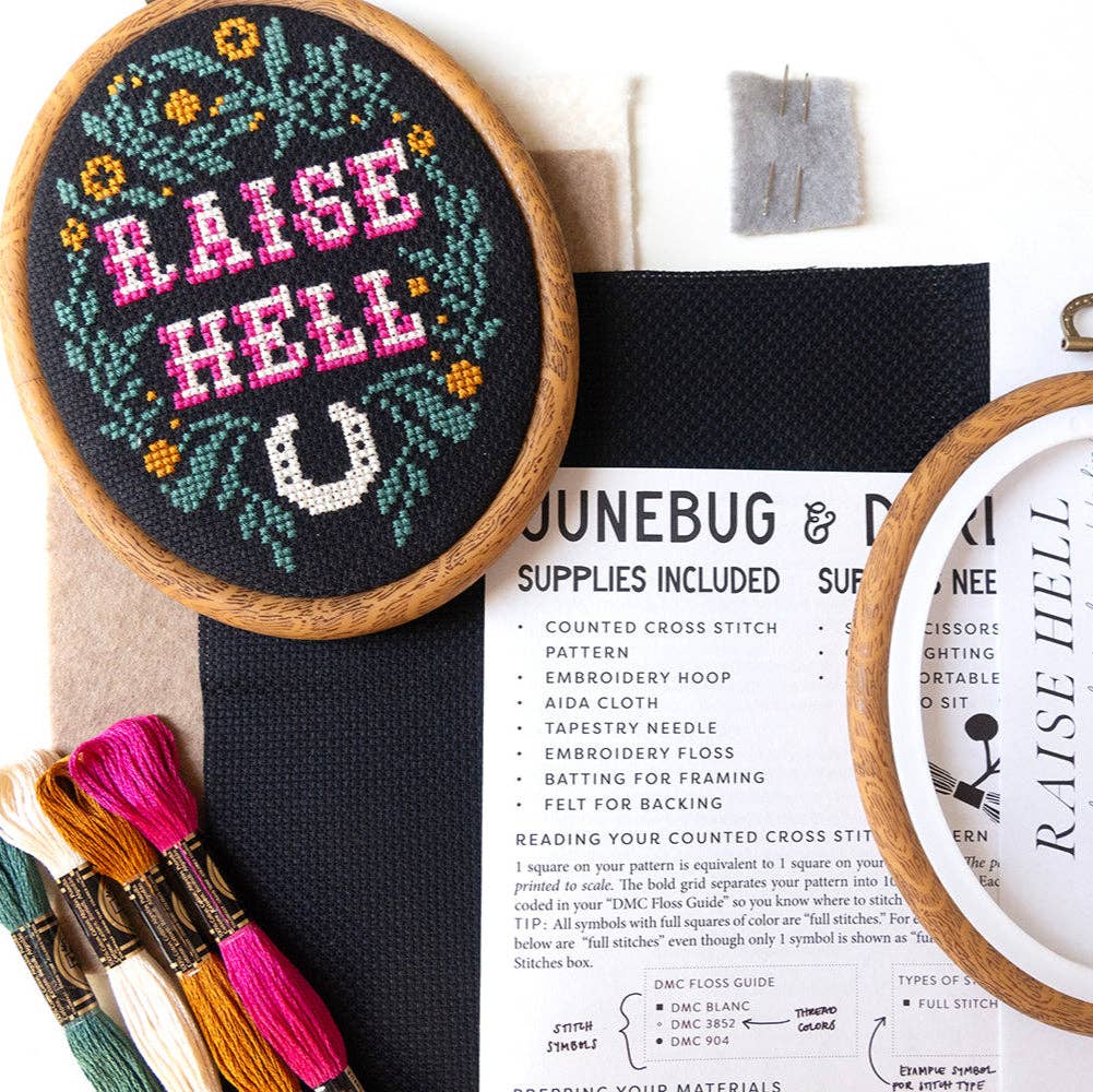 Raise Hell Cross Stitch Kit-Stitched Modern