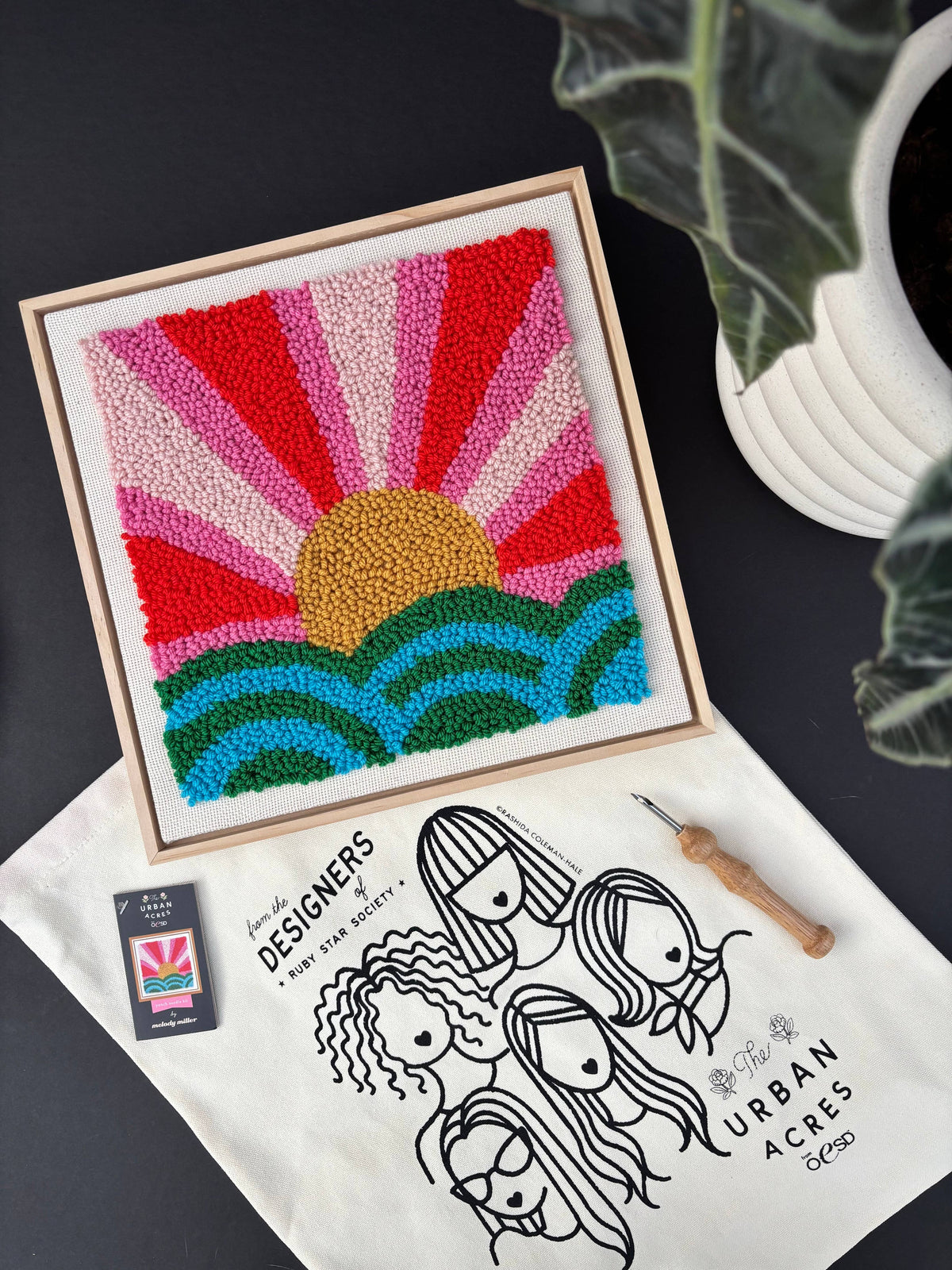 Rise & Shine Punch Needle Frame Kit