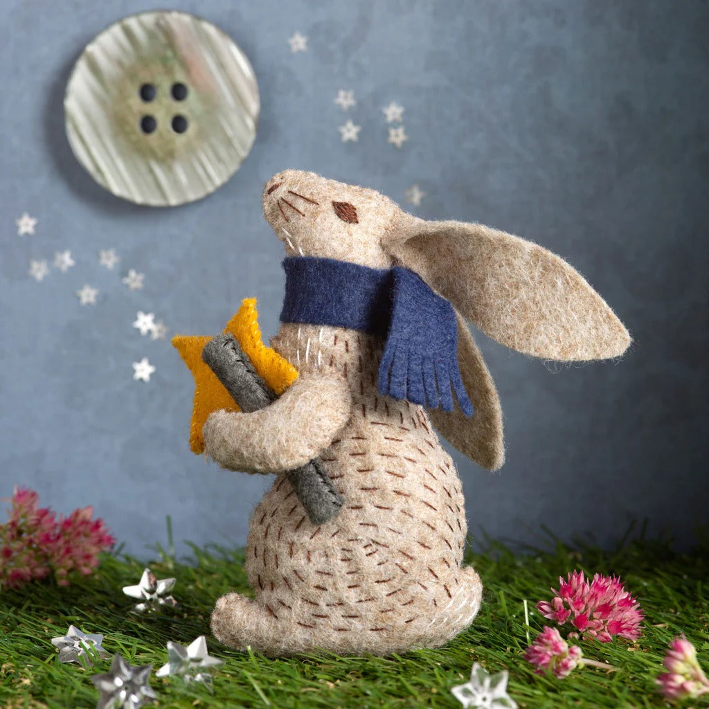 Felt Craft Mini Kit - Professor Hare