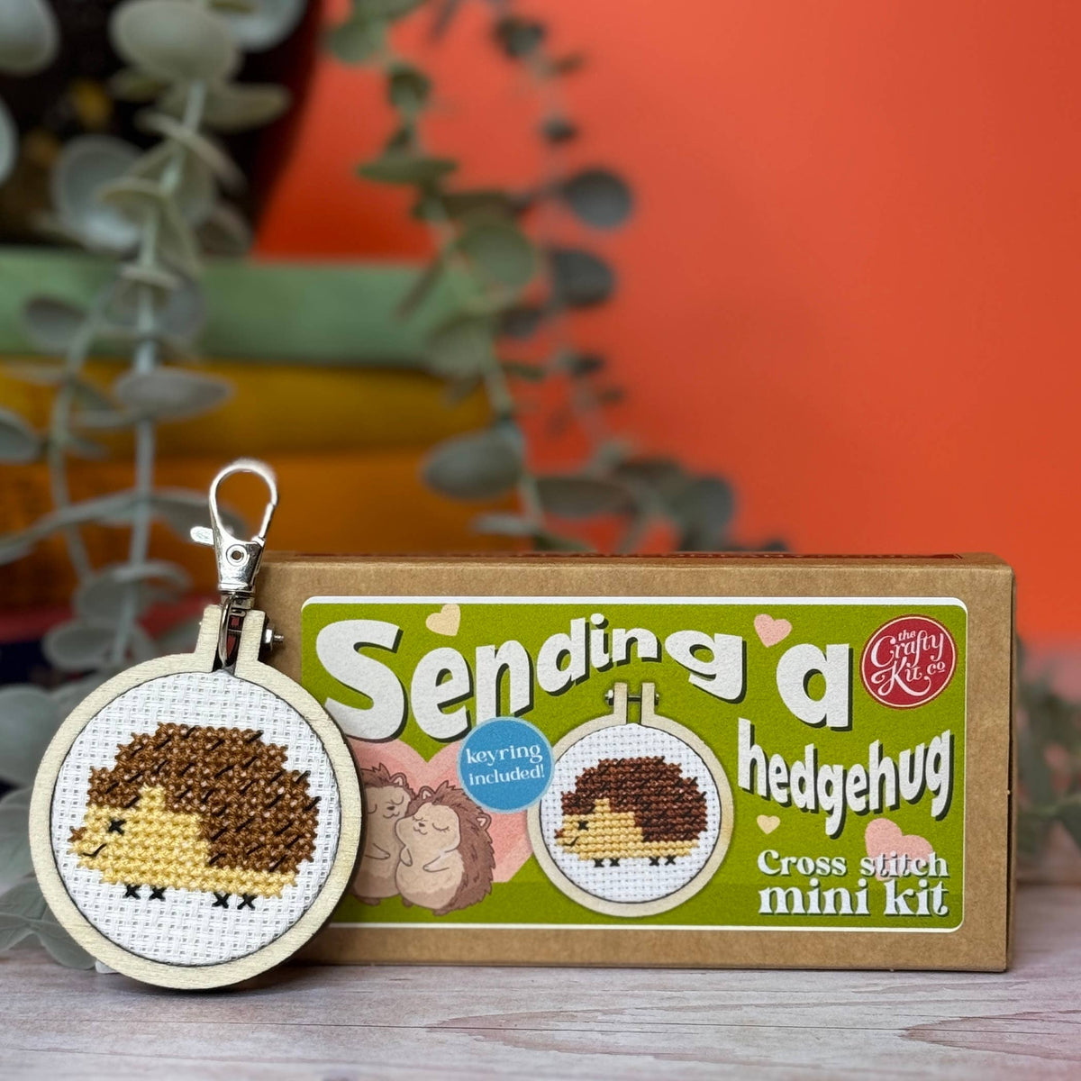 Mini Matchbox Cross Stitch Kit - Sending a Hedgehug-Stitched Modern