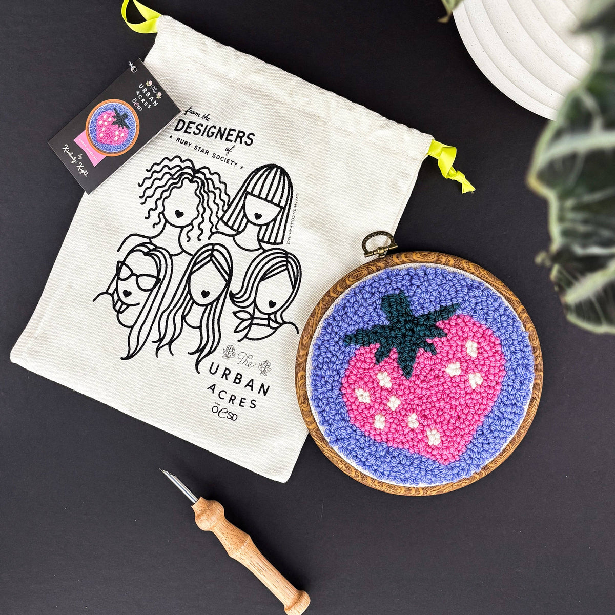 Strawberry Punch Needle Kit