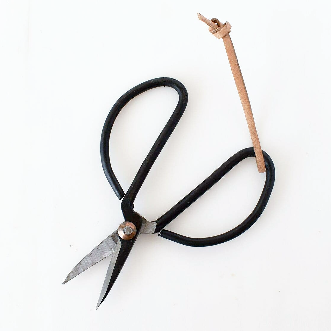 Hand-Forged Iron Craft & Garden Shears