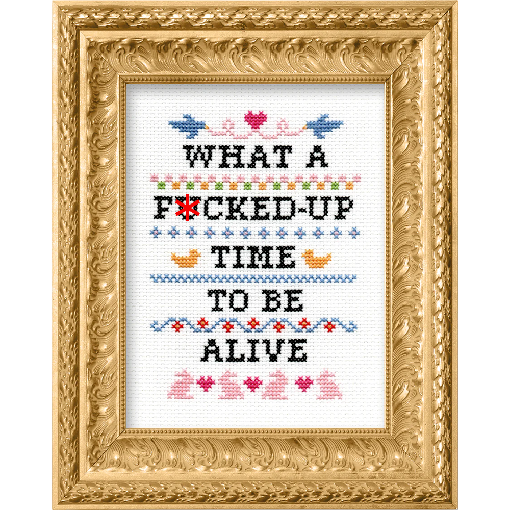 What a F'd Up Time to Be Alive Cross Stitch Kit-Stitched Modern
