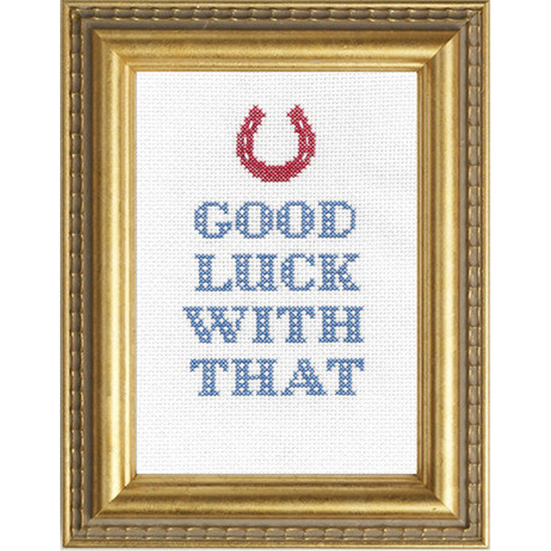 Good Luck With That Cross Stitch Kit