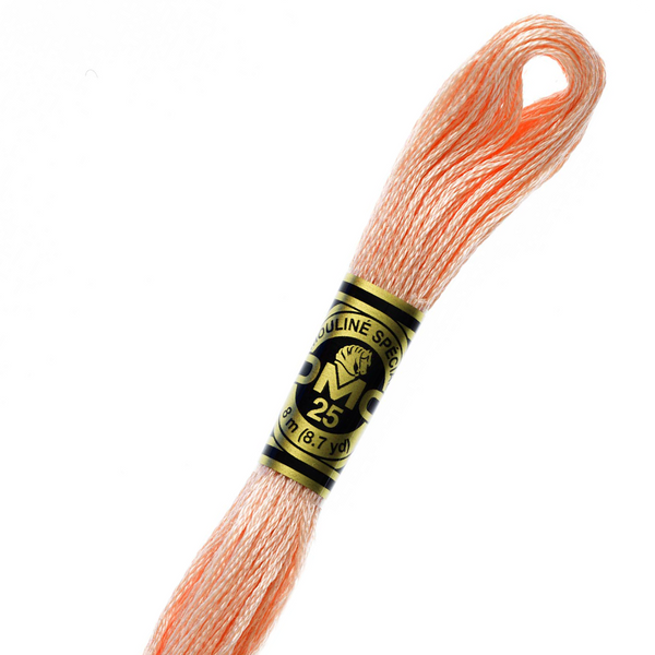 DMC 353 Cotton Embroidery Floss - Stitched Modern