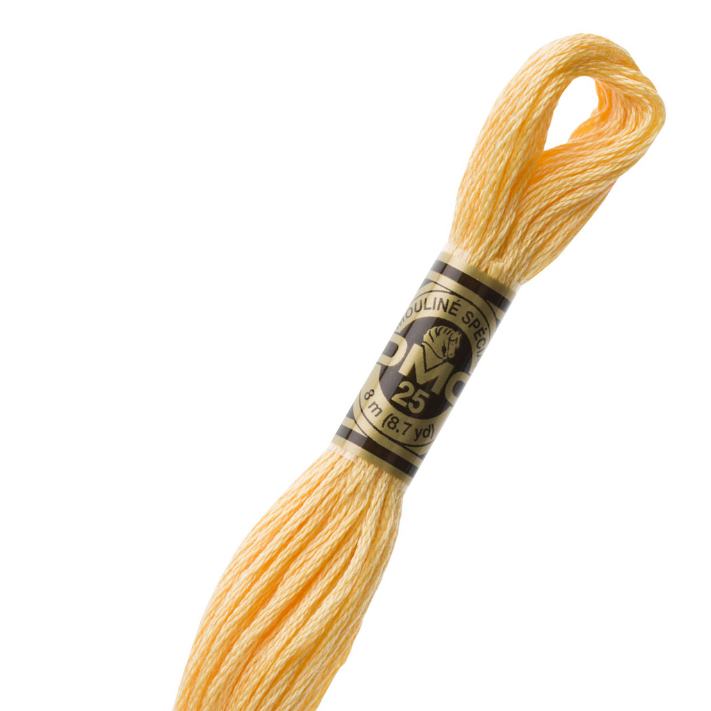 DMC 3855 Autumn Gold Light Embroidery Floss 2 Skeins 6 Strand 