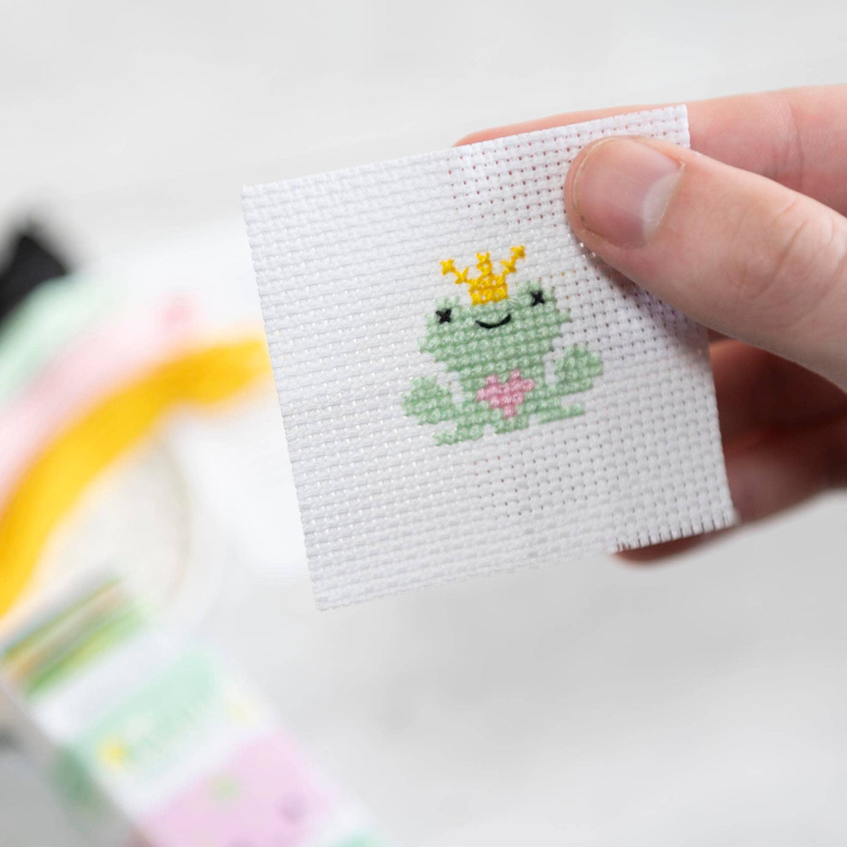 Kawaii Frog Prince Mini Cross Stitch Kit in a Matchbox