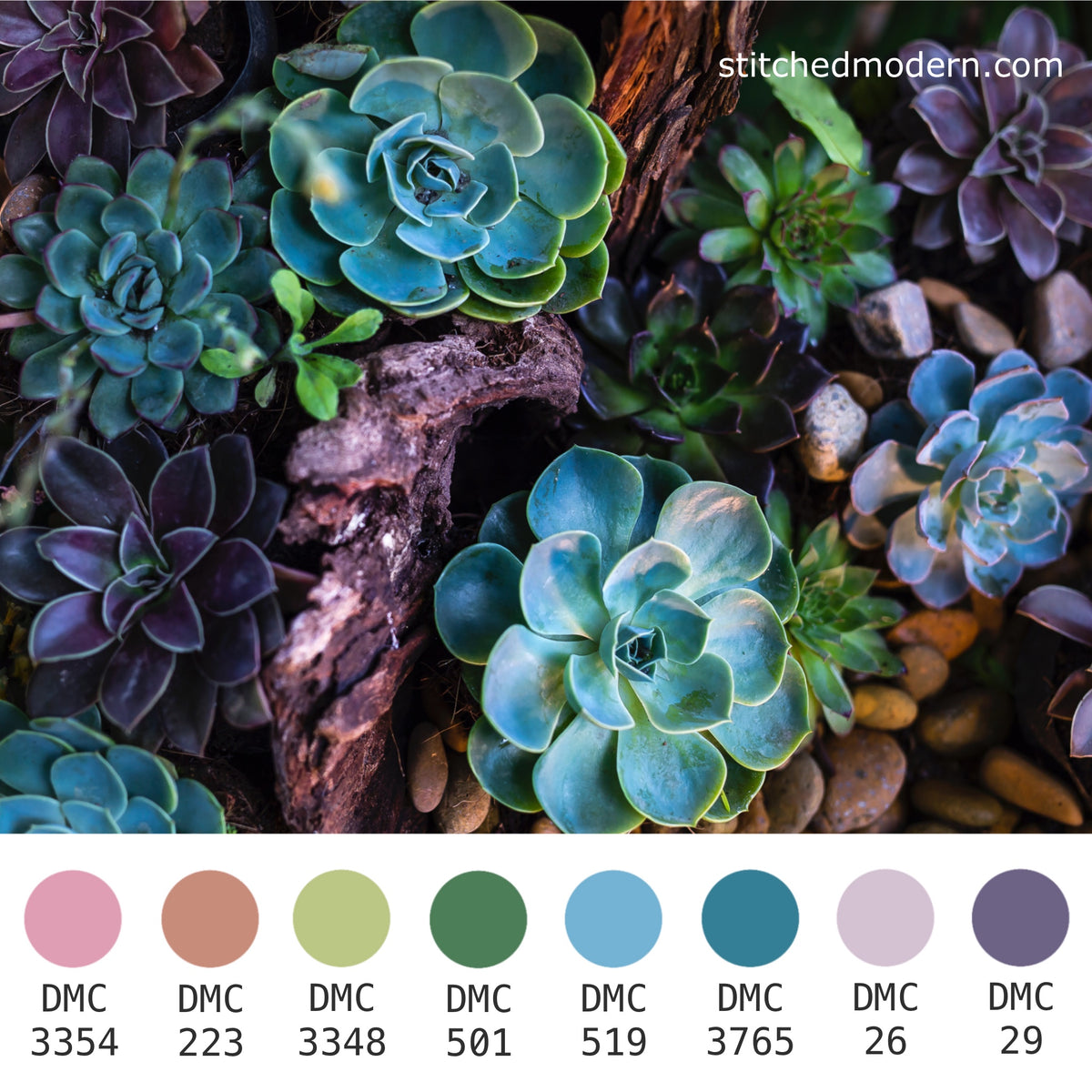 DMC Embroidery Floss Color Palette - Moody Succulent