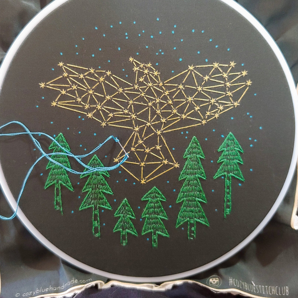The Crow Hand Embroidery Kit