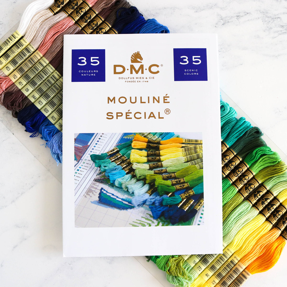 DMC Collector&#39;s Edition Tin - Scenic Colors