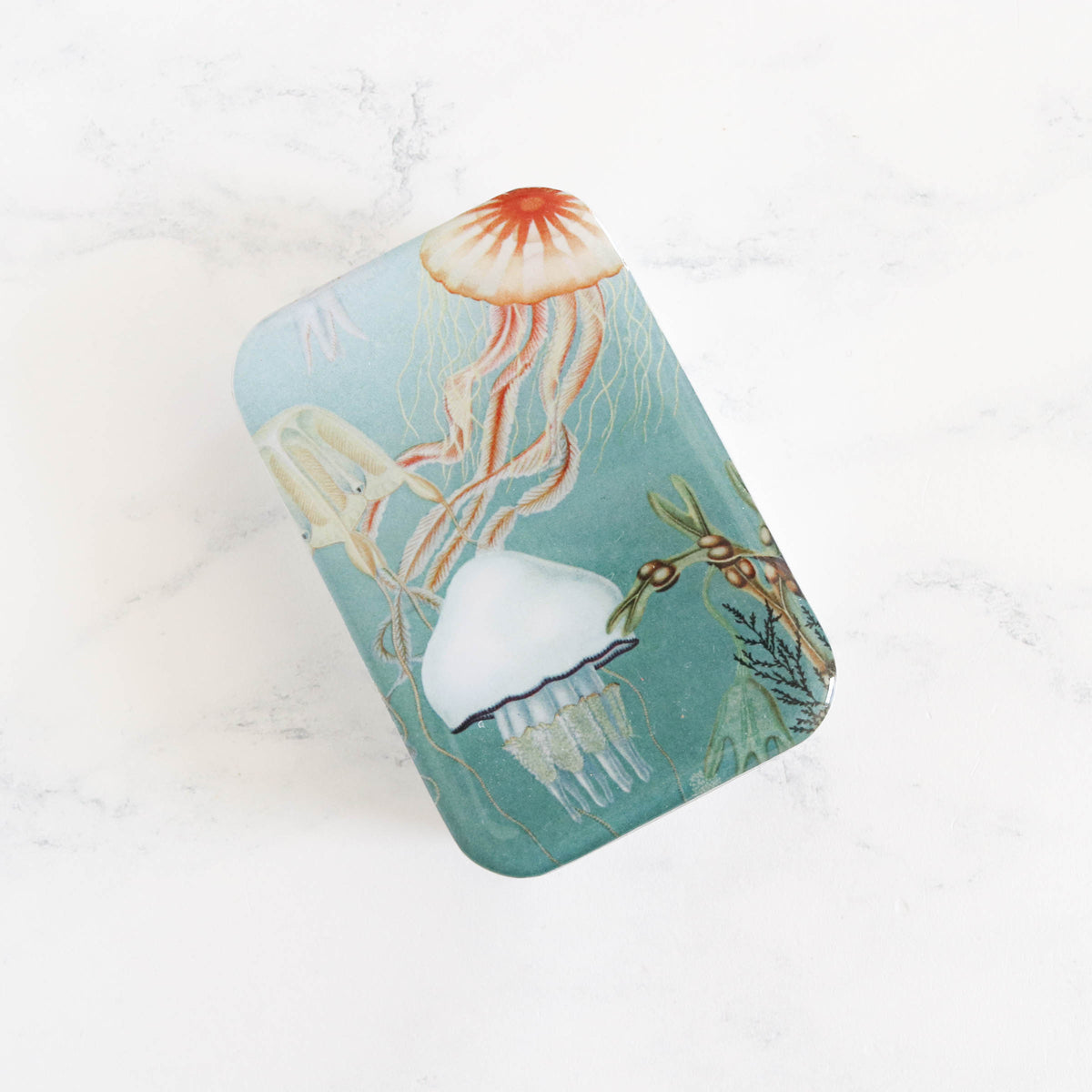 Vintage-Inspired Storage and Notions Tins - Jellyfish
