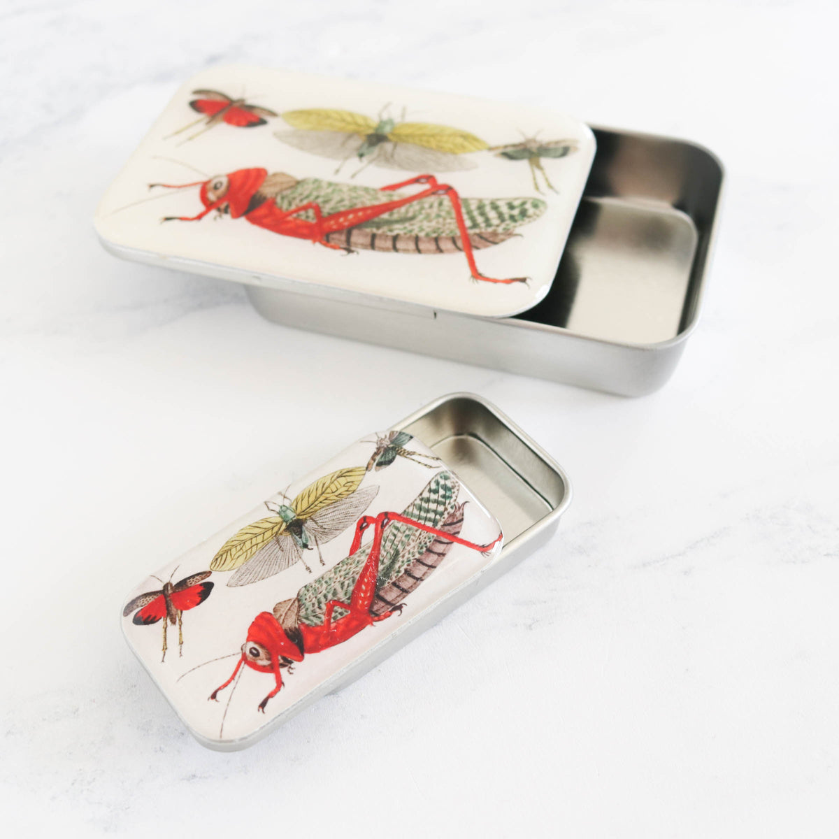 Vintage-Inspired Storage and Notions Tins - Cricket