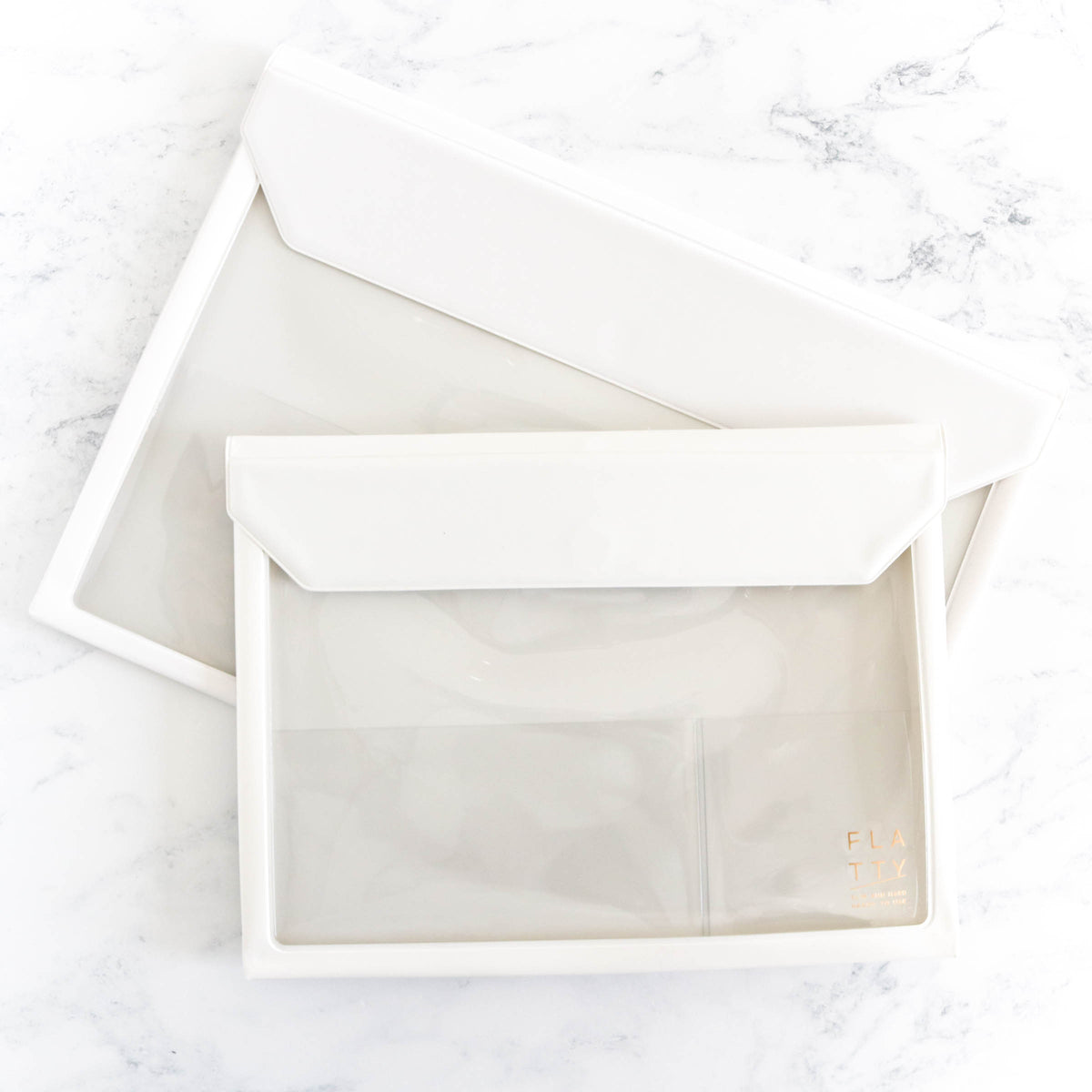 Flatty Project Carrying Case - White