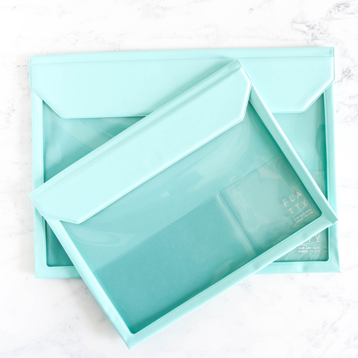 Flatty Project Carrying Case - Mint Green