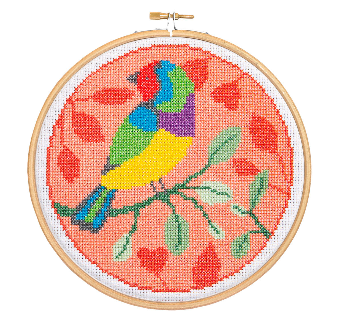 Rainbow Finch Cross Stitch Kit