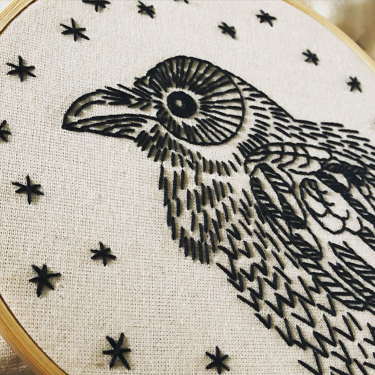 Nevermore Raven Hand Embroidery Kit