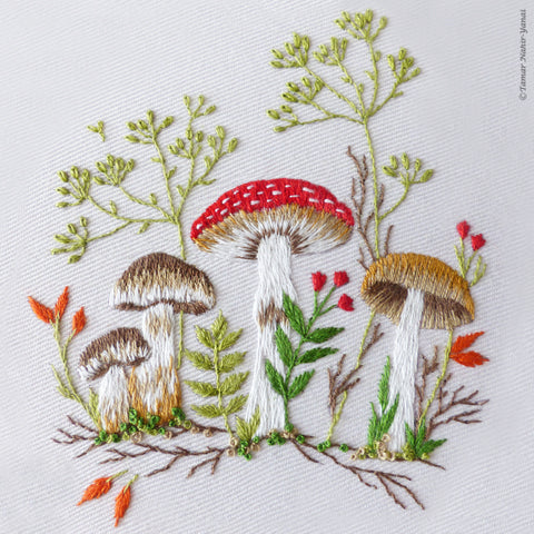 Forest Mushrooms Hand Embroidery Kit