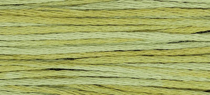 Weeks Dye Works Embroidery Floss - Scuppernong #2196
