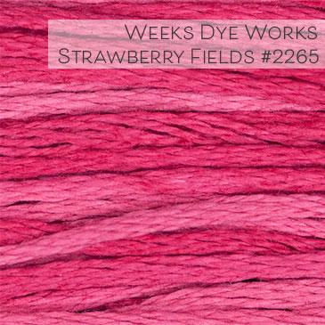 Weeks Dye Works Embroidery Floss - Strawberry Fields #2265